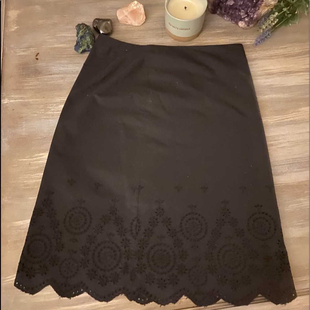 Banana Republic Skirt Size 2